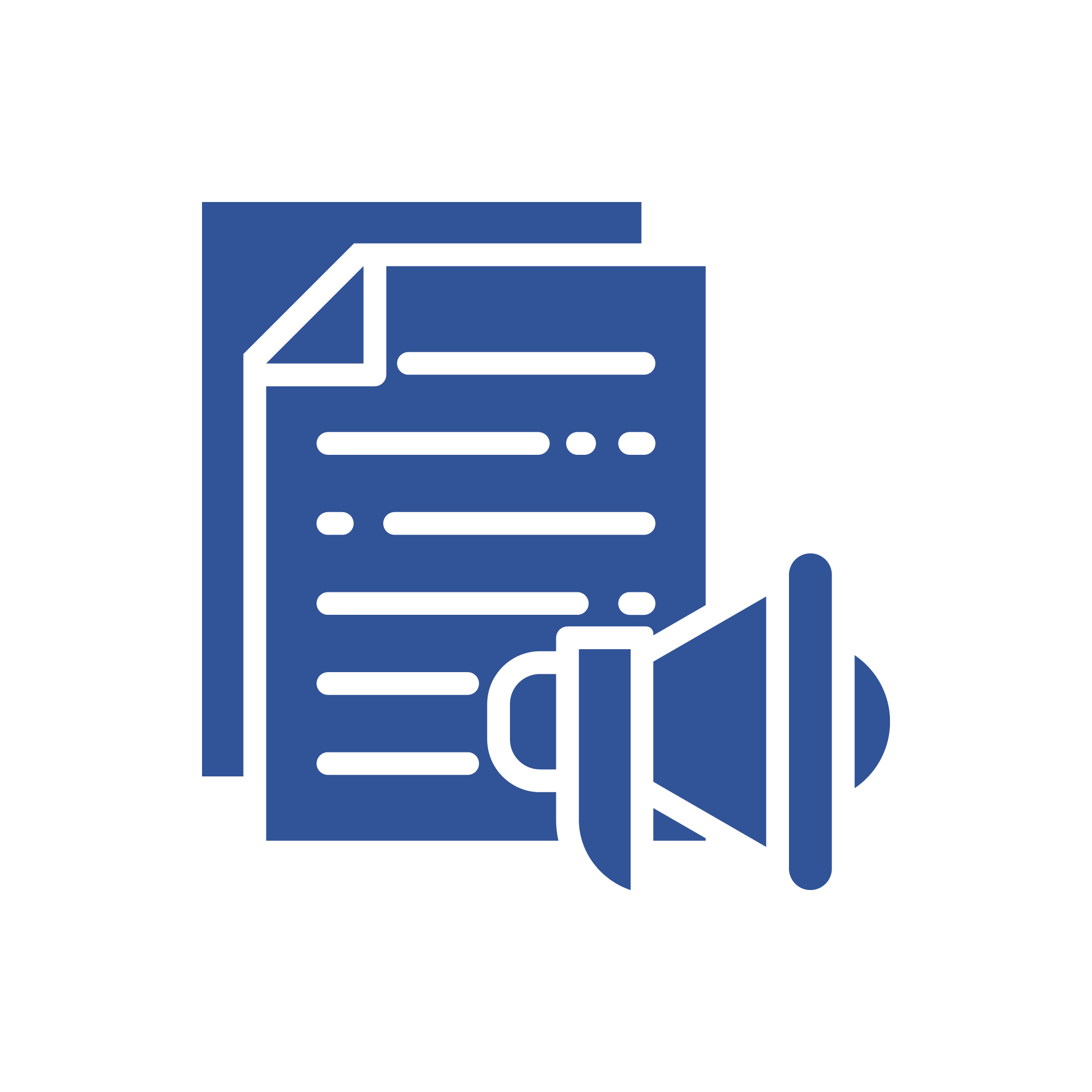 Icone Media presse